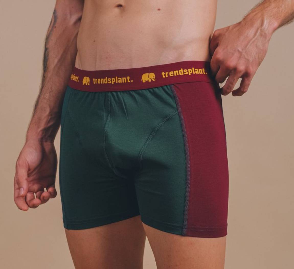 Vêtement Trendsplant Organic Essential Boxer Briefs