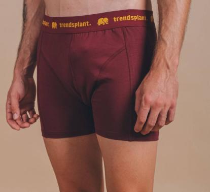 Organic Essential Boxer Briefs